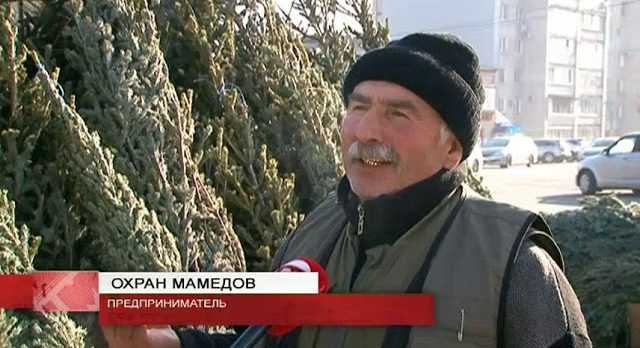 Почем елочка? В городе начали работу базары с главным атрибутом праздника