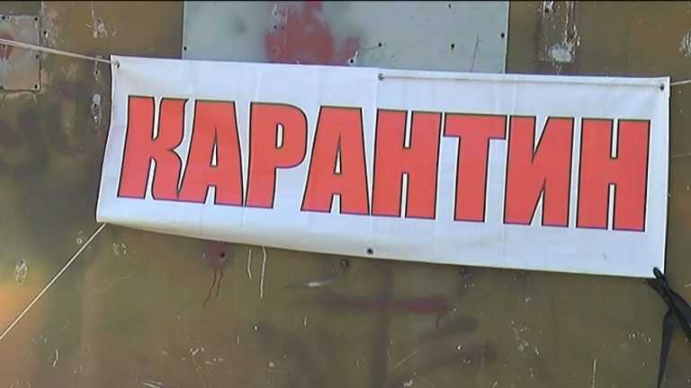 Режим локального ЧС введен в Уссурийском из-за ящура