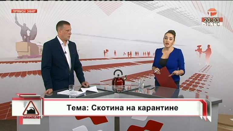 Накипело. 31.01.2019. Скотина на карантине