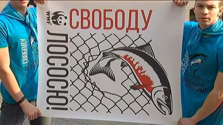 «Свободу лососю!» Студенты Уссурийска поддержали дальневосточную акцию