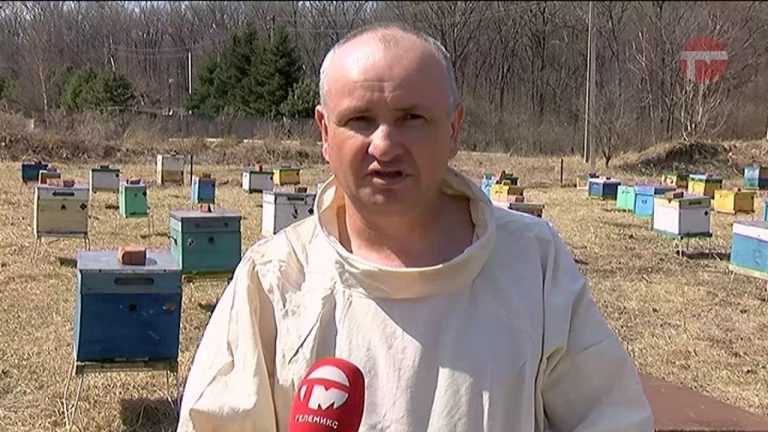 Новый вид пчёл вывели в Уссурийске