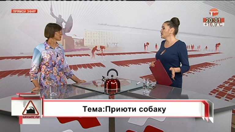 Накипело. 06.06.2019. Приюти собаку