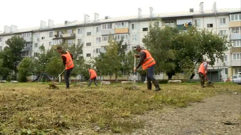 На Артёмовской, 5 скосили траву высотой с человеческий рост