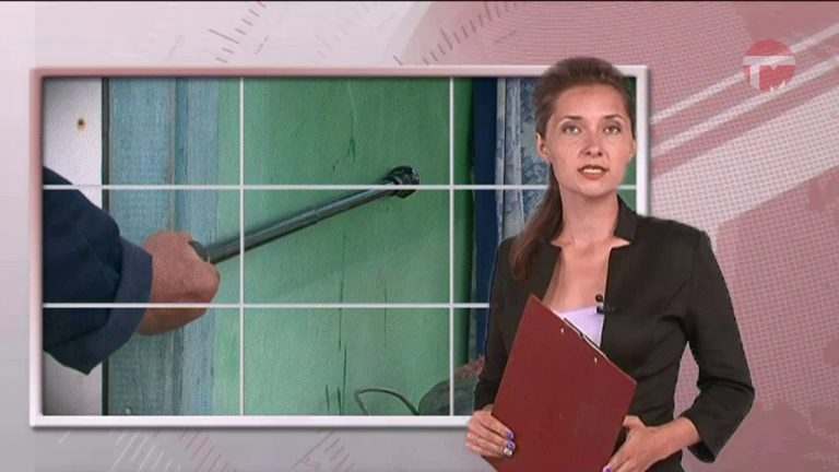 Изменения в законах вступают в силу в августе