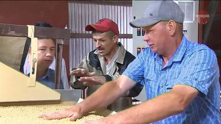 Завод по производству «сильных» семян открыли в Покровке