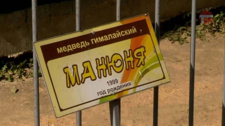 Жизни уссурийской дрессировщицы, которой медведица повредила ногу, ничего не угрожает