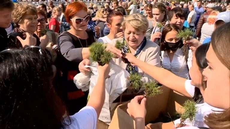 Операция «Кедр» прошла успешно