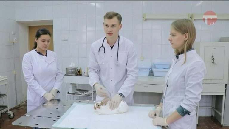 40-летний юбилей отметил ветеринарный факультет Приморской Сельхозакадемии