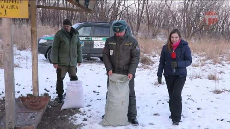 Подкормку диких животных начали в заказнике «Полтавском»
