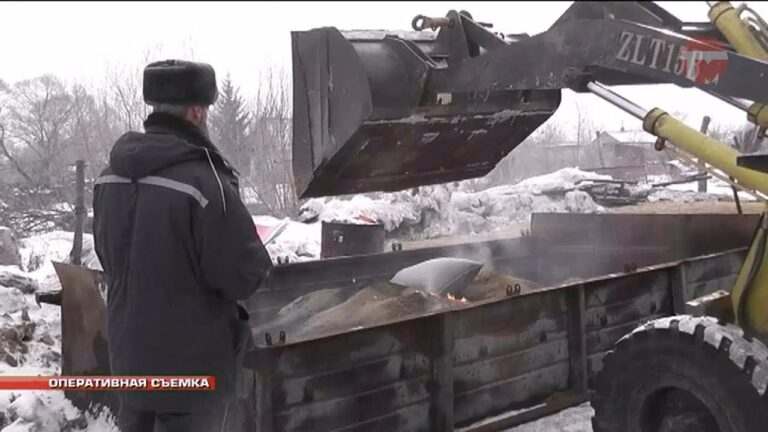 Пять крупных партий семян повилики уничтожено В Приморском крае