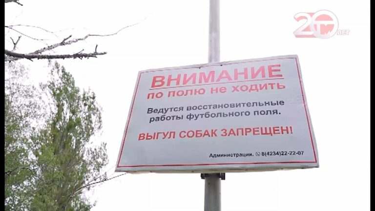 Футбольное поле в парке «Зеленый остров», которое топит каждый год, восстанавливают