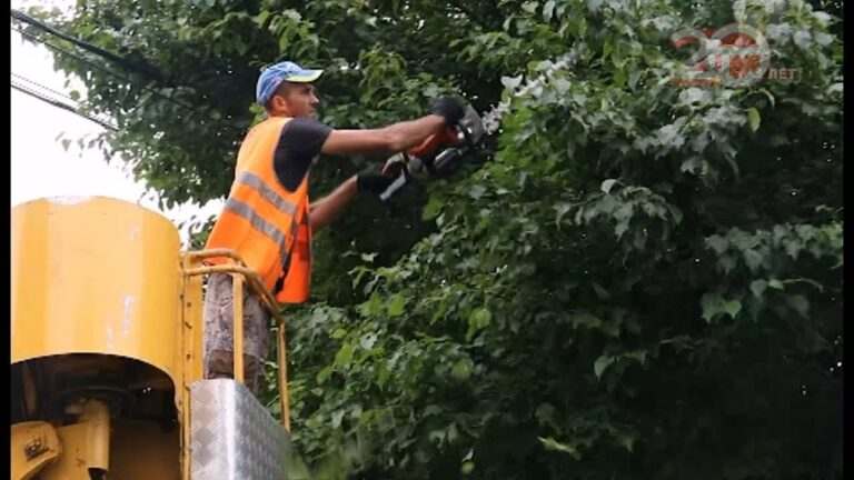 Деревья на улицах Уссурийска приводят в порядок