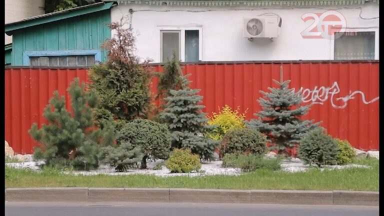 На улице Краснознаменной от Агеева до Вечного огня на клумбах наводят красоту