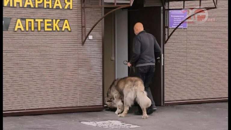 Уссурийская ветеринарная станция переехала в новое здание