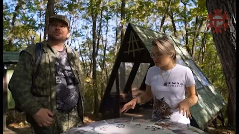 Приморцы будут передавать свои наблюдения за природой учёным