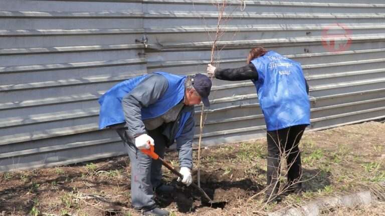 На Владивостокском шоссе, 93 наводят порядок