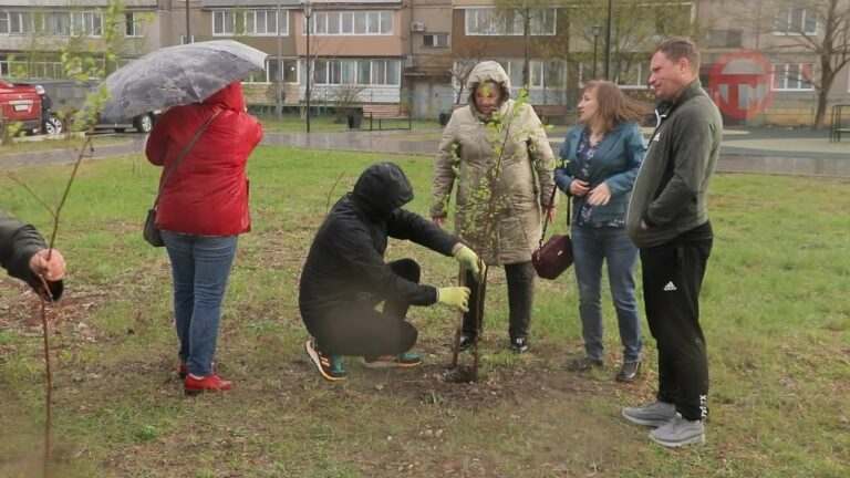 Акция «Дерево памяти» в Доброполье