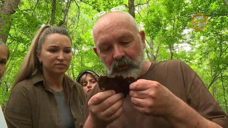 Спасать приморские леса станут еще эффективнее