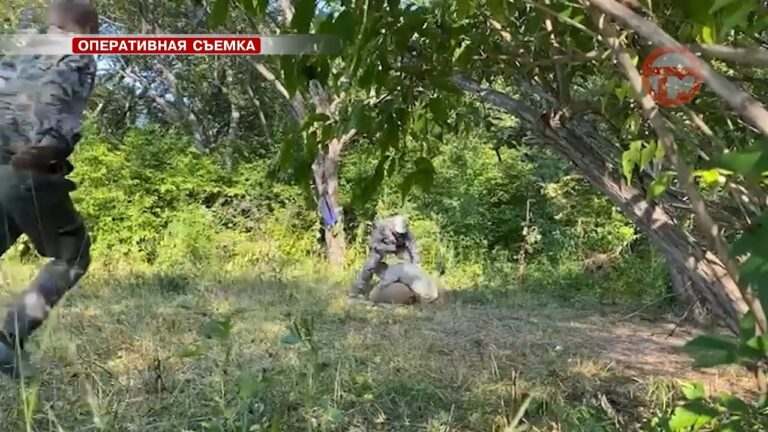Полицейские задержали жителя Борисовки, которого подозревают в хранении запрещенных веществ