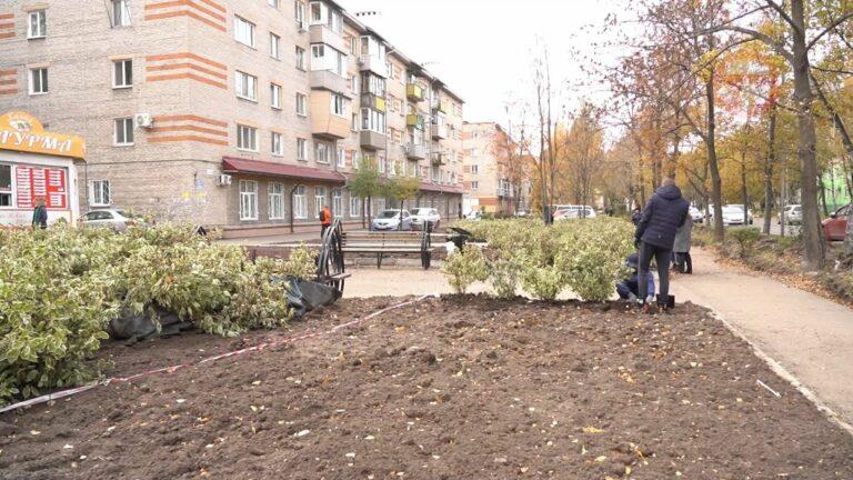 Новый сквер появится на улице Суханова в следующем году