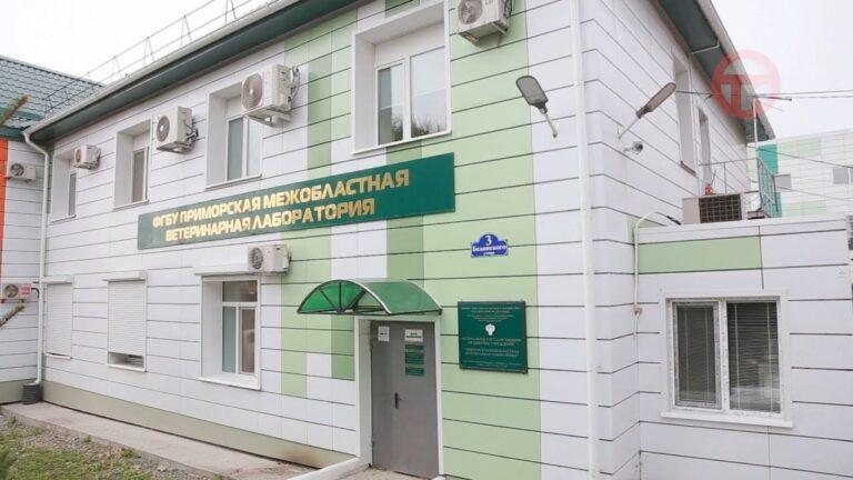 Первая партия икры поступила в приморскую межобластную ветеринарную лабораторию