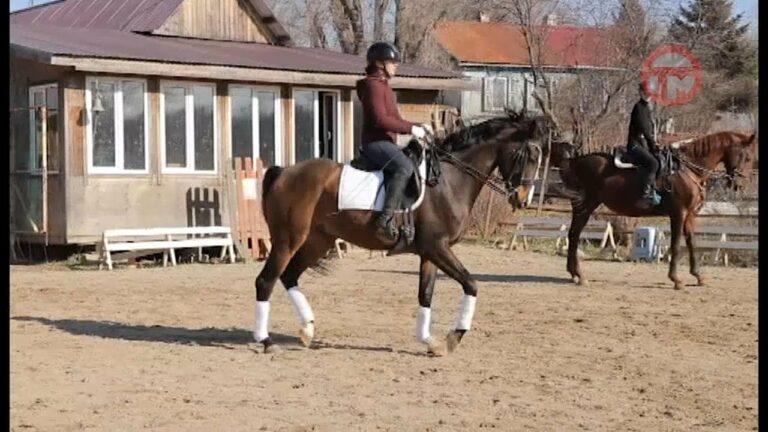 Уссурийская спортсменка вернулась со всероссийских соревнований по конному спорту