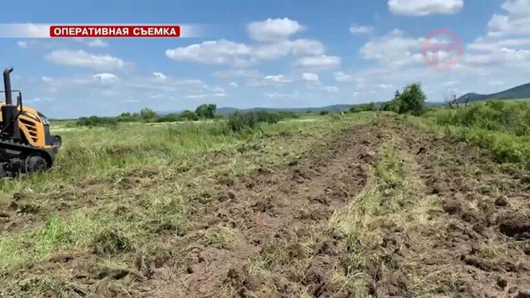 Почти 5 тонн наркотических средств изъяли полицейские в Приморье в ходе операции «Мак — 2021»