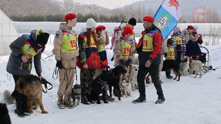 Зимняя приморская собакиада прошла в Уссурийском округе