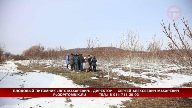 Школа садовода третий год принимает учеников в селе Глуховке