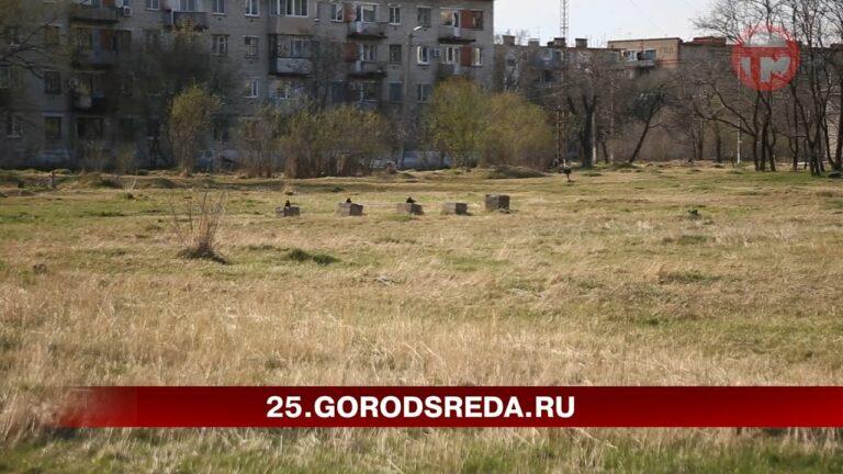 Быть или не быть скверу? Судьба единственной зоны отдыха решается в городке Воздвиженском