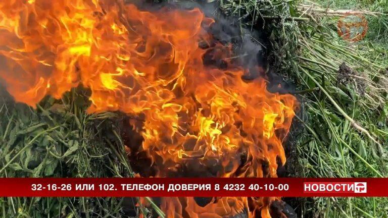 Операция «Мак-2022» идёт в округе