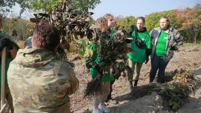 Деревья высадили на территории Уссурийского лесничества