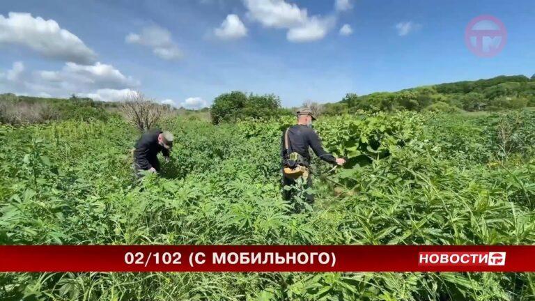 Итоги операции «Мак» подвели в нашем крае