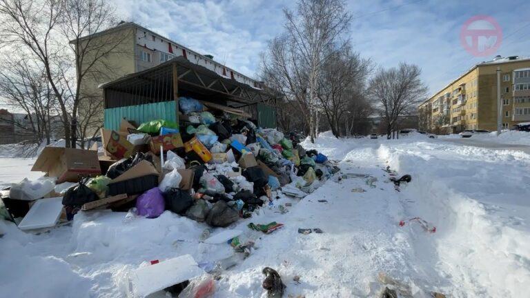 Мусорные площадки в Уссурийске постепенно становятся чище
