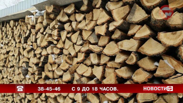 Дрова подарили горожанам участники общественной организации «Солидарность»