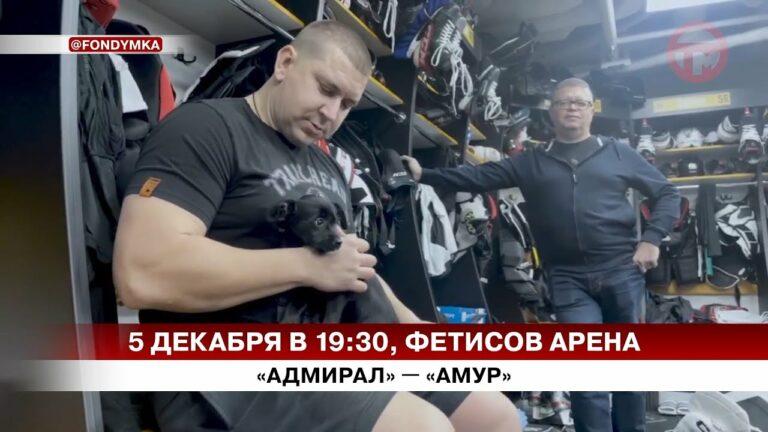 Сбор помощи для хвостатых. Совместная акция хоккейного клуба «Адмирал» и и фонда «Умка»