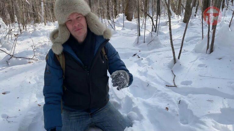 Таёжной тропой вслед за ее главным обитателем — амурским тигром прошла съёмочная группа Телемикса