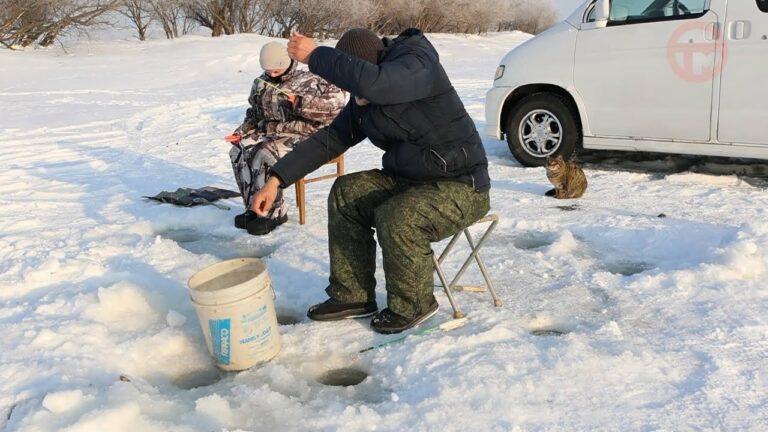 В садке рыбу не утаишь. Коты захватили побережье Суйфуна