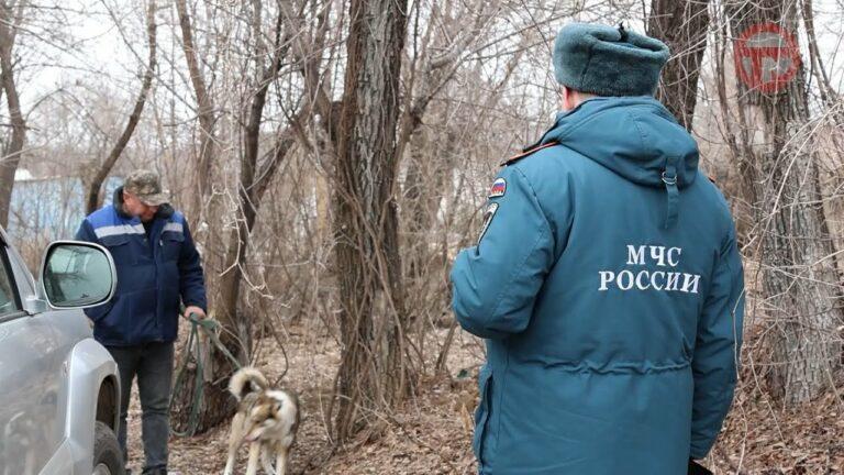 Пожароопасный сезон начался сегодня в Уссурийском округе