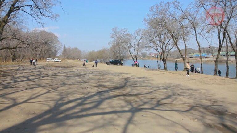 Левый берег Солдатского озера очистили участники акции «Вода России»