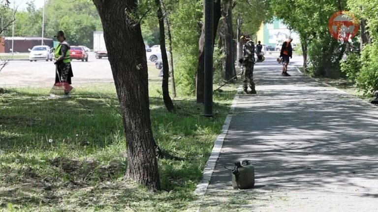 Сезон покоса травы открыт
