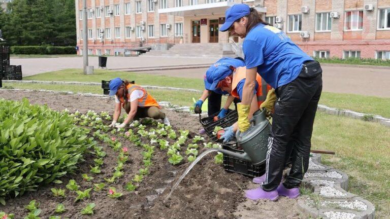 Уссурийская площадь отцвела. На смену тюльпанов торопятся бегонии