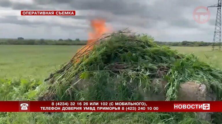 Подвели итоги второго этапа оперативно-профилактической операции «Мак-2023»