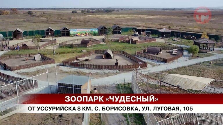День рождения отметил зоопарк «Чудесный» — 9 лет со дня образования