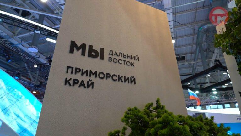 Управлять вертолетом, гулять с леопардом можно в павильоне Приморья на выставке «Россия»