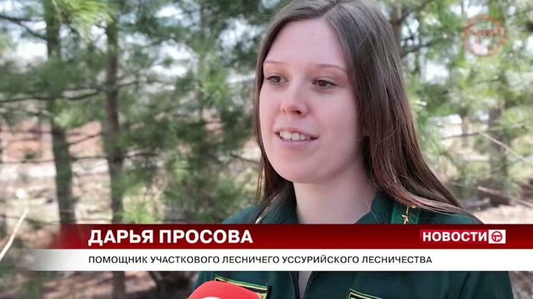 Лесные пожары в окрестностях Уссурийска недавний дождь не остановил