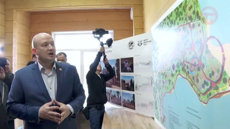 Сафари-парк Центра «Амурский Тигр» появится на Русском острове