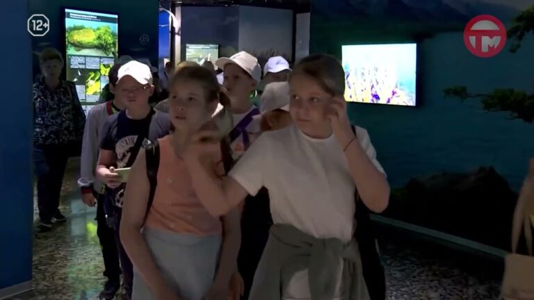 Новые меры поддержки вводят в Приморье для многодетных семей с тремя и более детьми