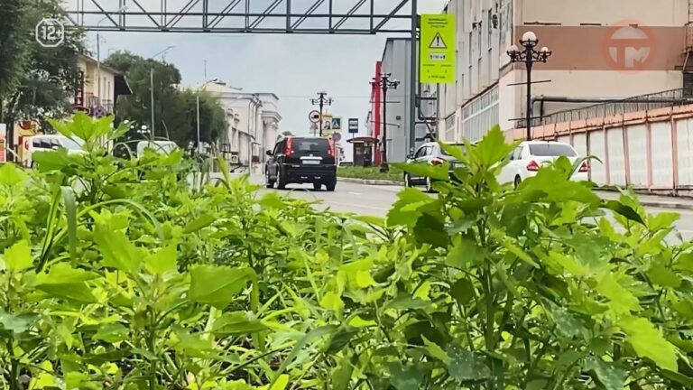 Приморье поднялось в Национальном рейтинге