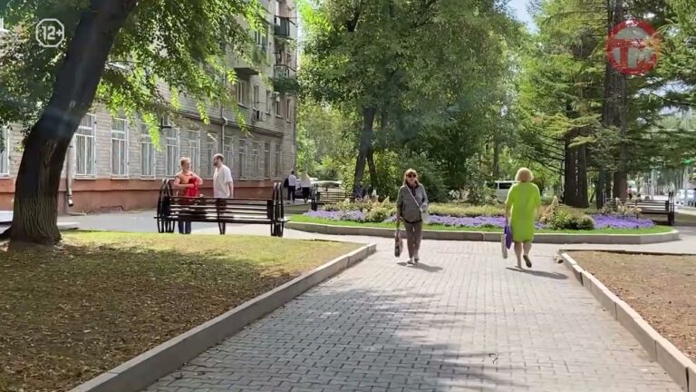 Солнца в первые дни августа на небе будет мало — сообщают синоптики